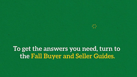 Your-Guides-to-Buying-or-Selling-a-Home-This-Fall